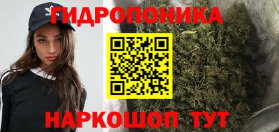 твердый Будённовск
