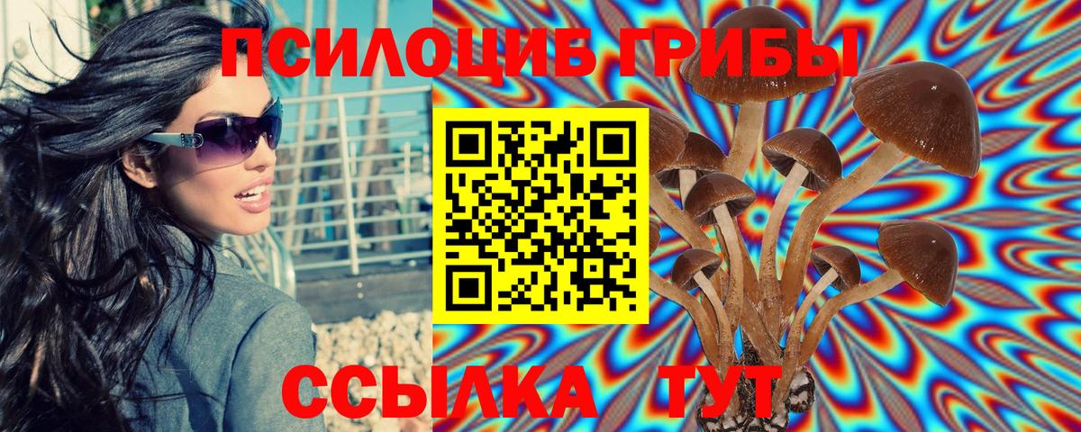Галлюциногенные грибы Psilocybine cubensis Тамбов