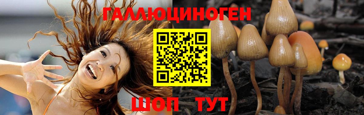Псилоцибиновые грибы MAGIC MUSHROOMS  Вход с VPN  Тамбов 